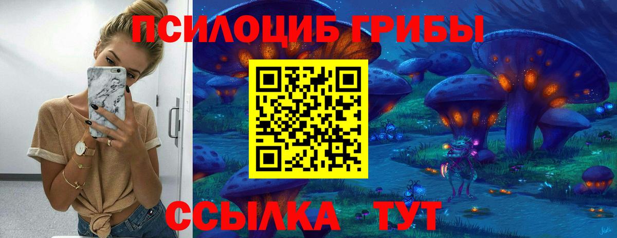 Нижневартовск  Галлюциногенные грибы прущие грибы  Вход с VPN  Псилоцибиновые грибы ЛСД 